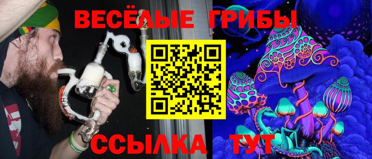 Дятьково  Галлюциногенные грибы Magic Shrooms  Вход с VPN 