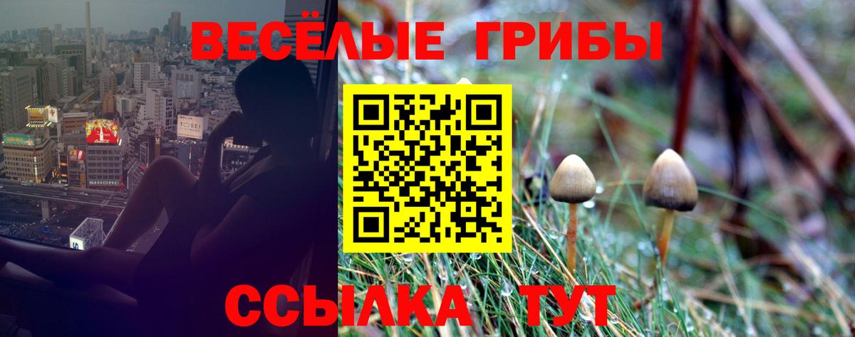 Галлюциногенные грибы GOLDEN TEACHER Дятьково